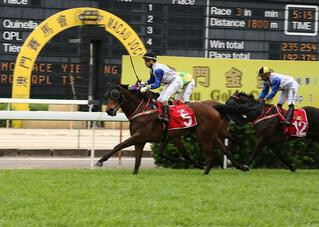 River Control takes control in the Macau Gold Cup. 
